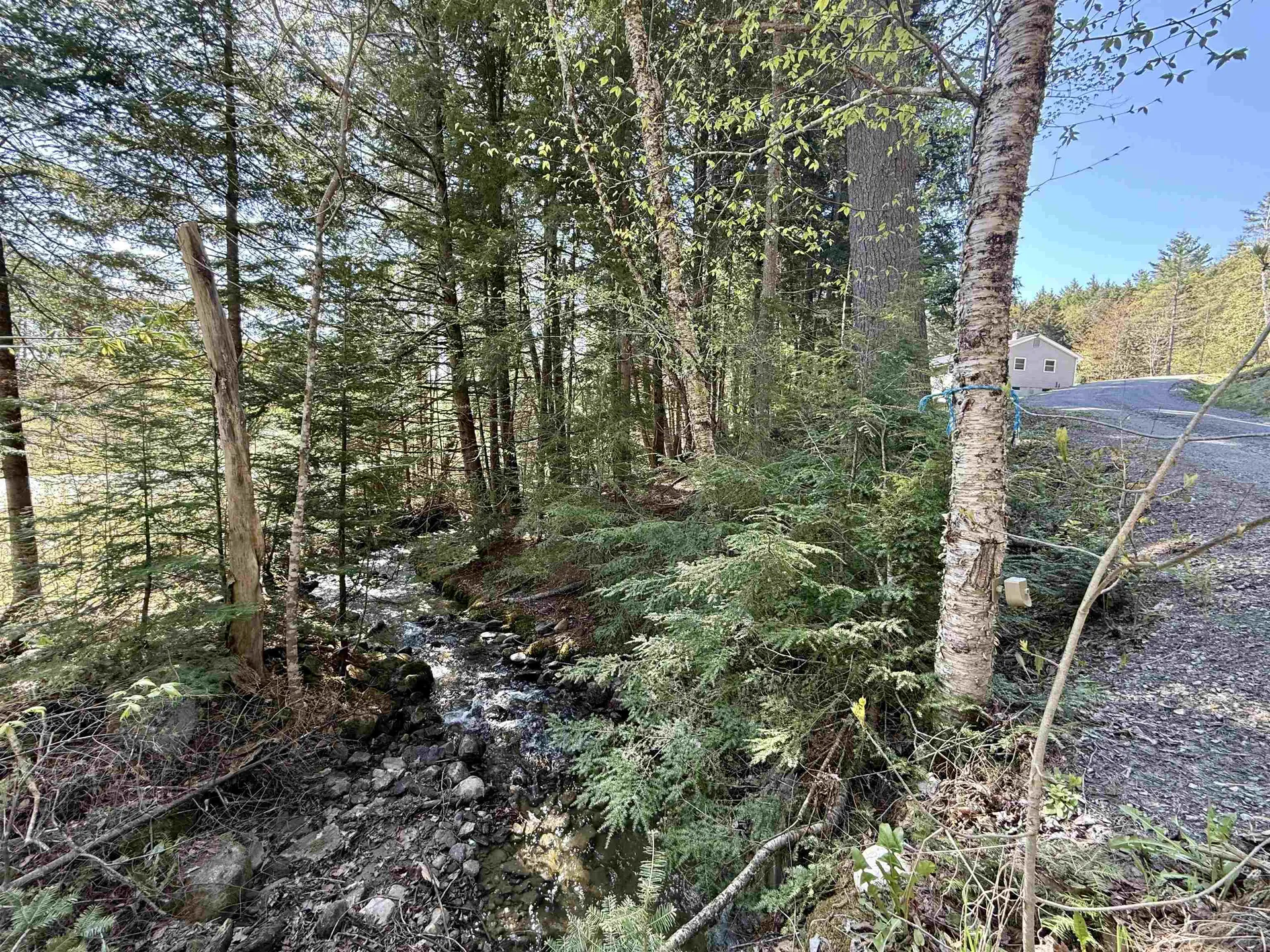 387 Weston Andover Road Andover VT 05143