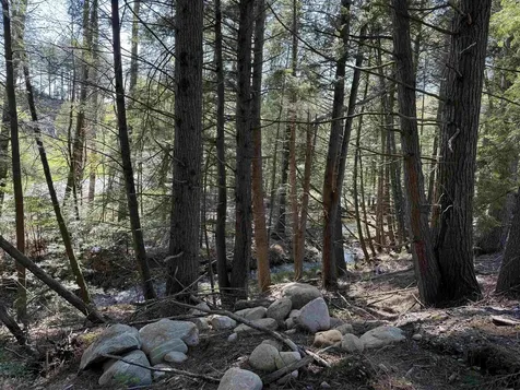 387 Weston Andover Road Andover VT 05143