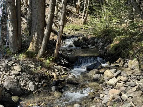 387 Weston Andover Road Andover VT 05143