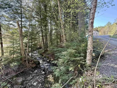 387 Weston Andover Road Andover VT 05143