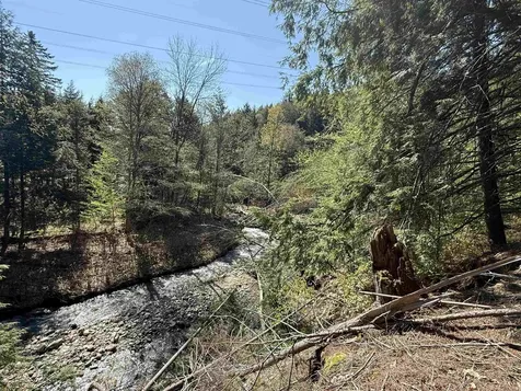 387 Weston Andover Road Andover VT 05143