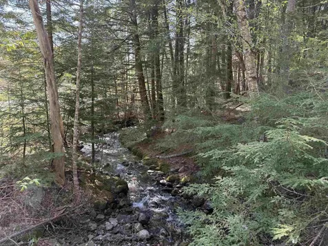 387 Weston Andover Road Andover VT 05143