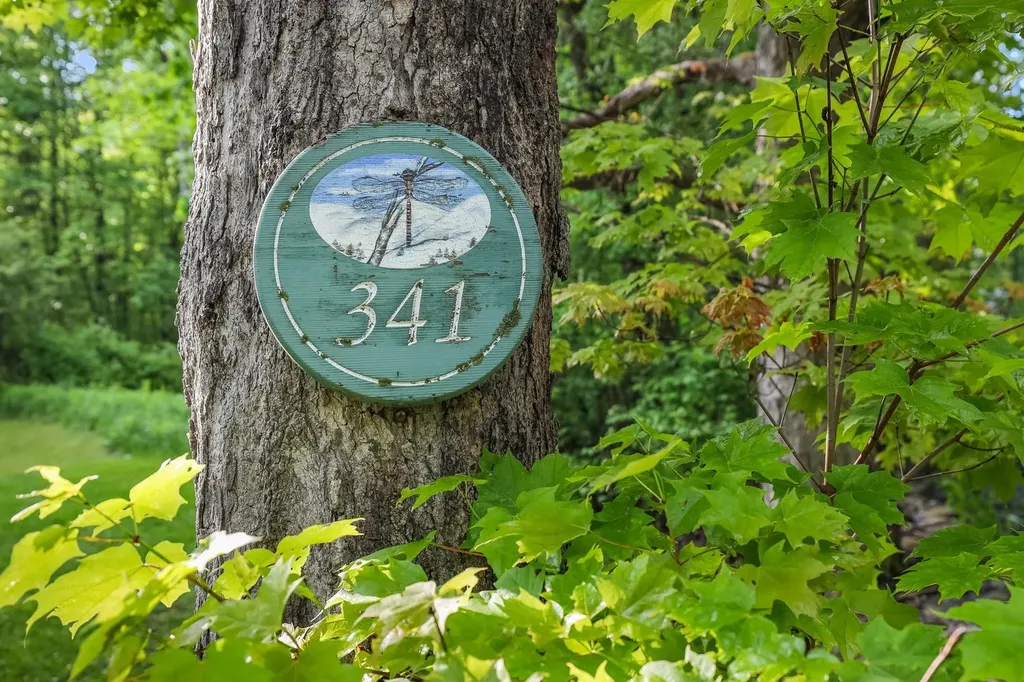 341 Danby Mountain Road Dorset VT 05251