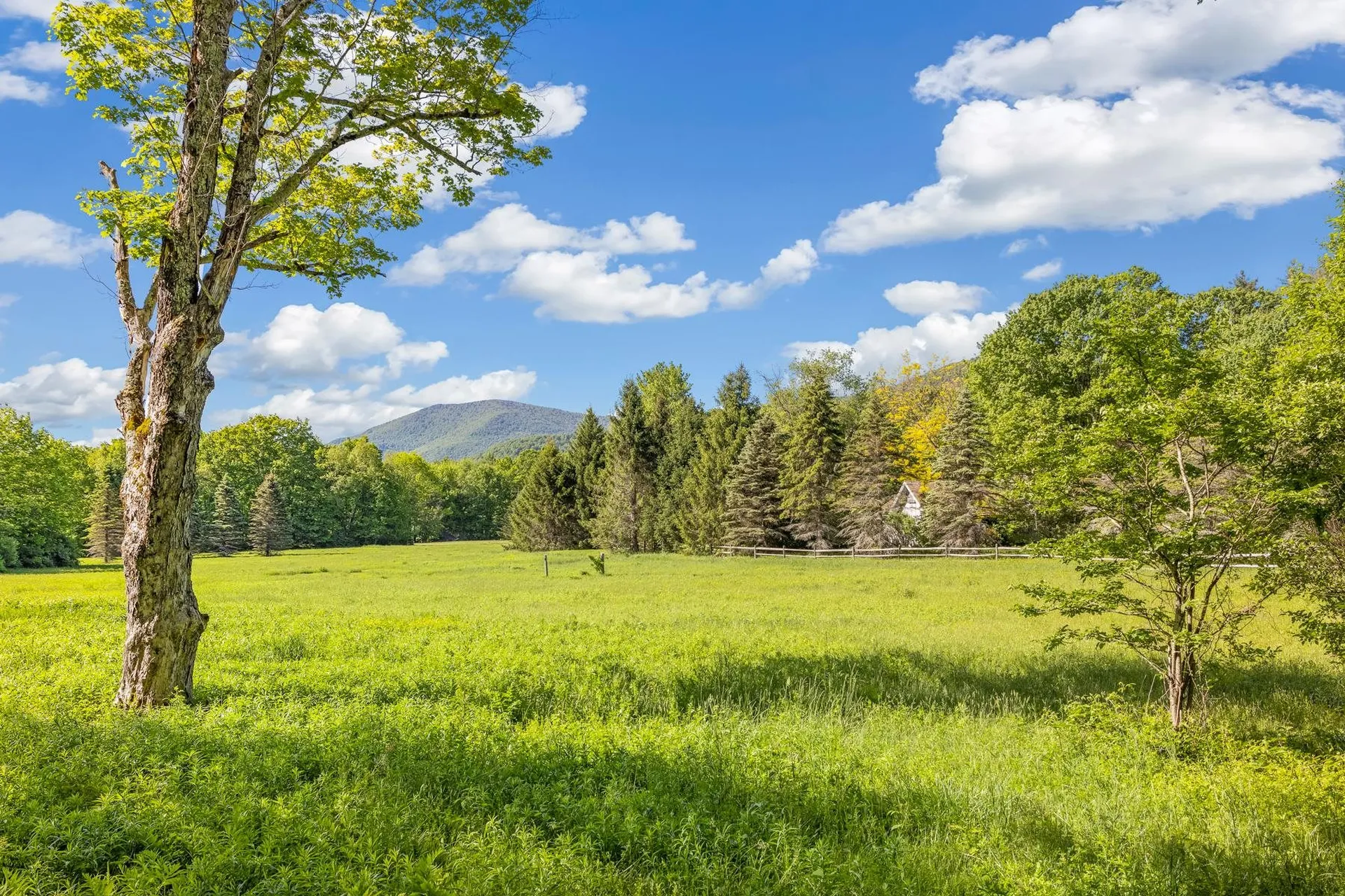 341 Danby Mountain Road Dorset VT 05251