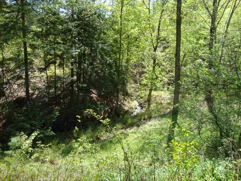 31 Loop Road Concord NH 03301