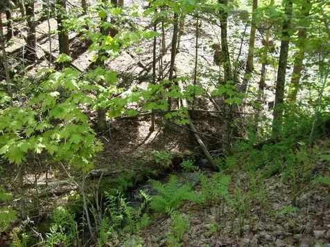 31 Loop Road Concord NH 03301