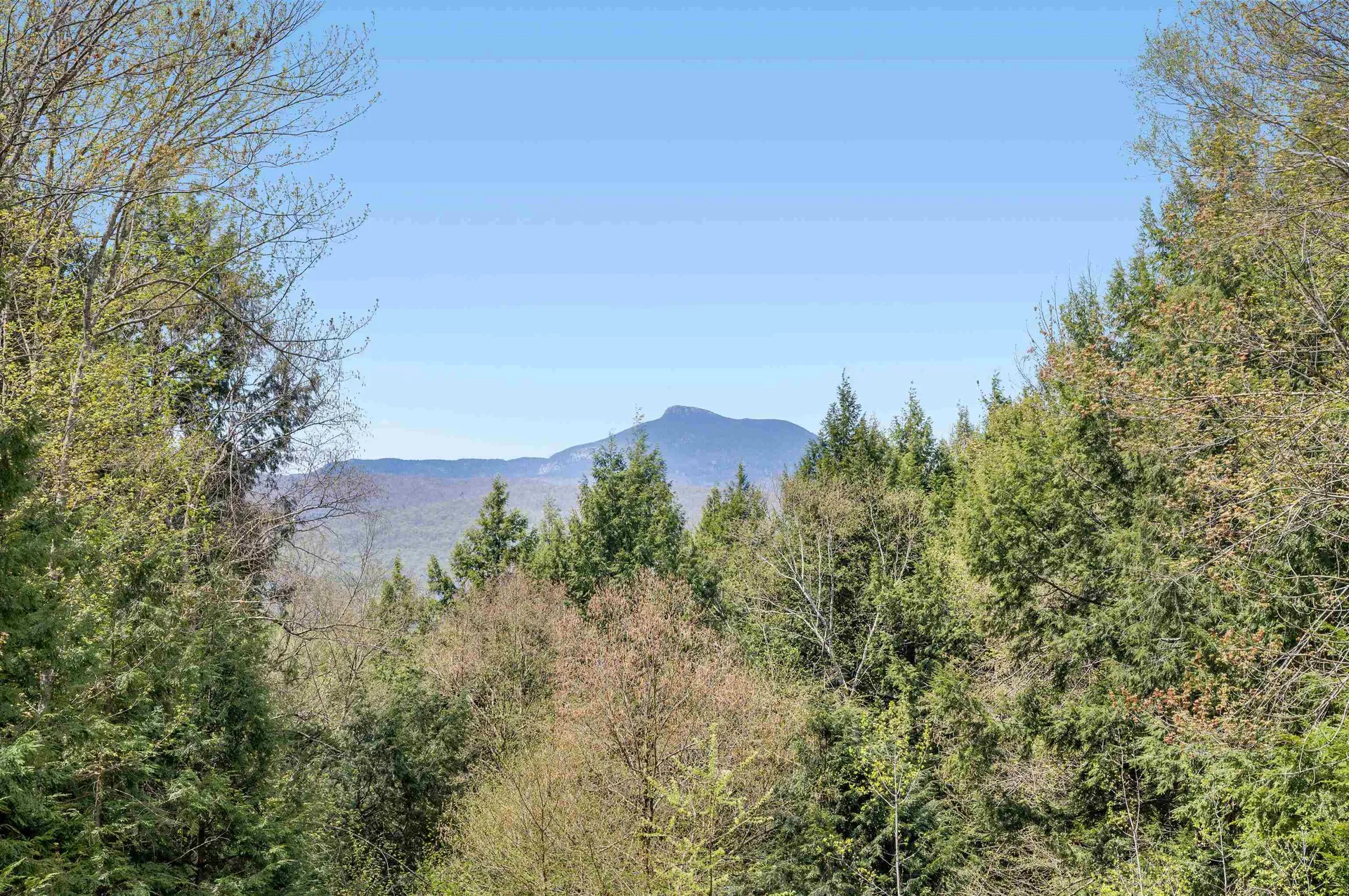 581 Perry Lea Road Waterbury VT 05676