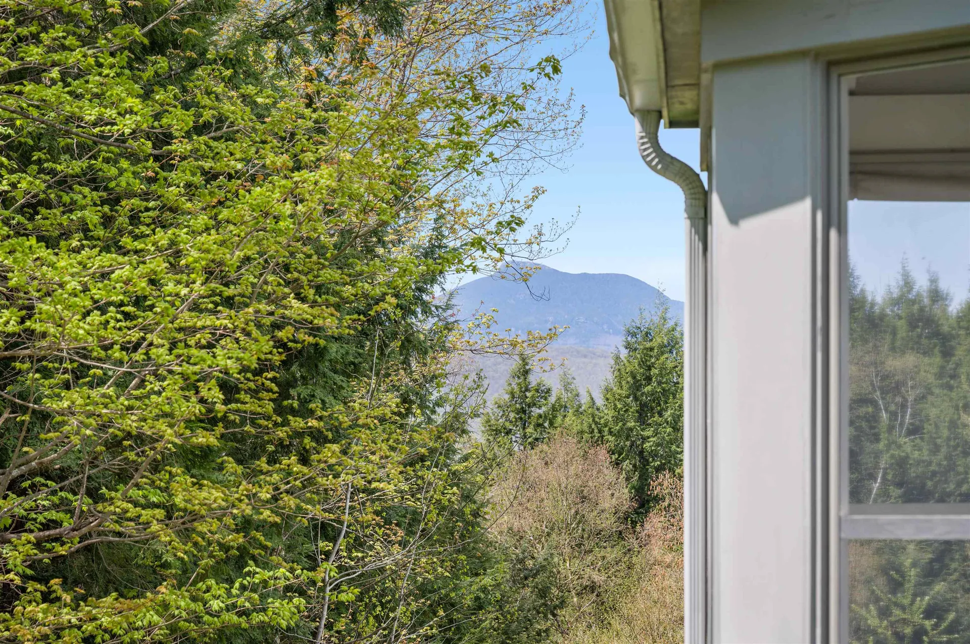 581 Perry Lea Road Waterbury VT 05676