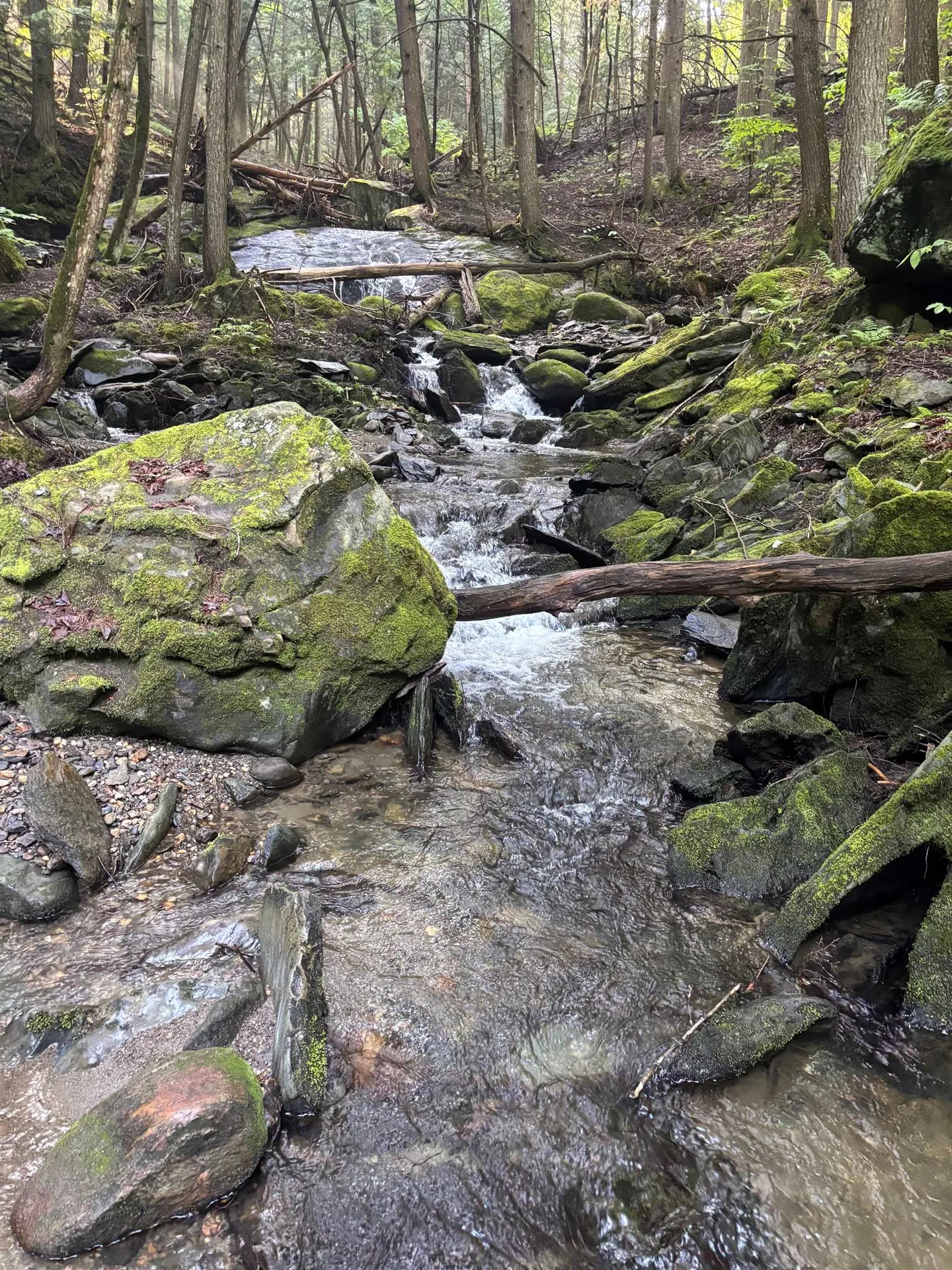 581 Perry Lea Road Waterbury VT 05676