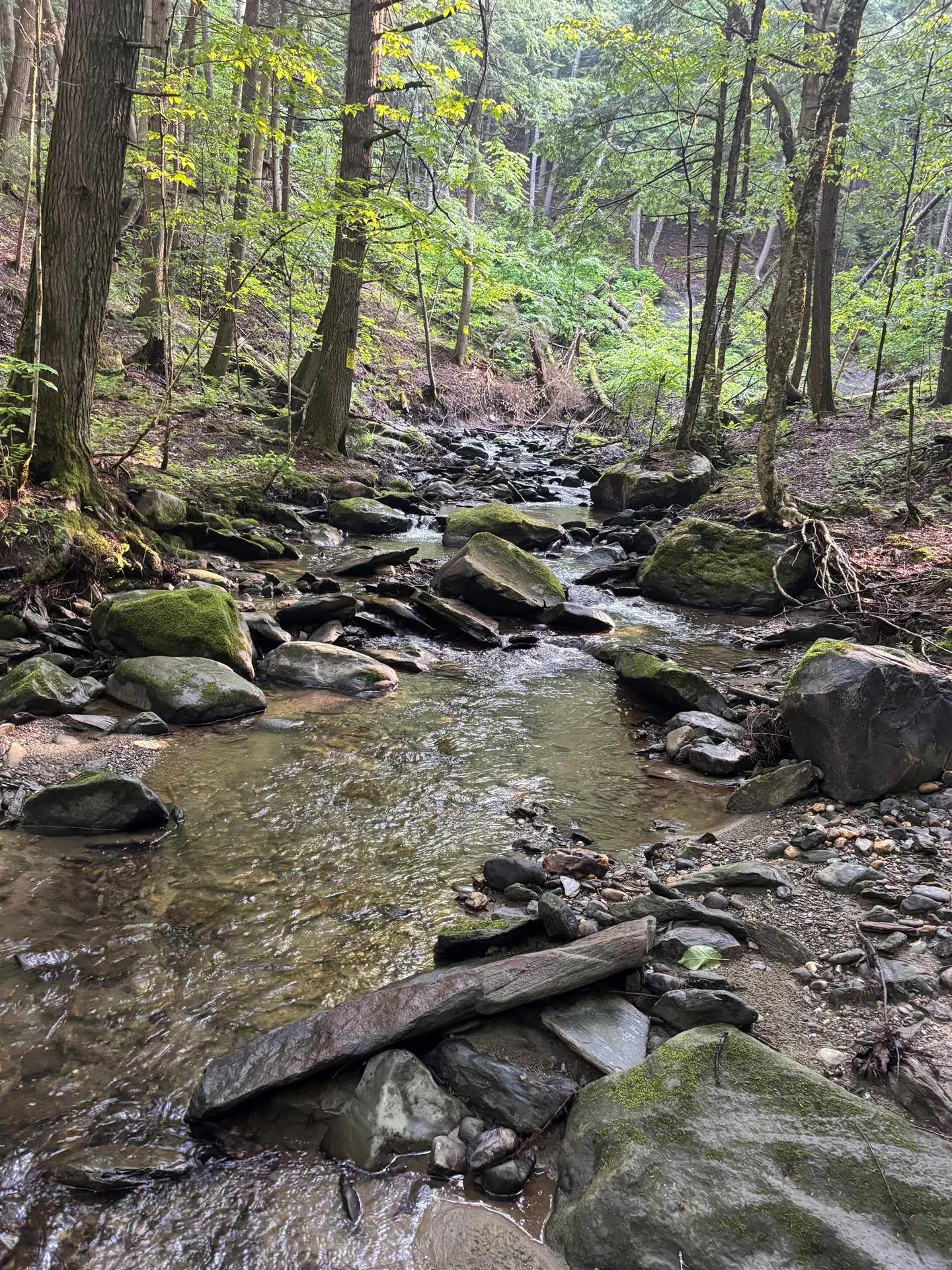 581 Perry Lea Road Waterbury VT 05676