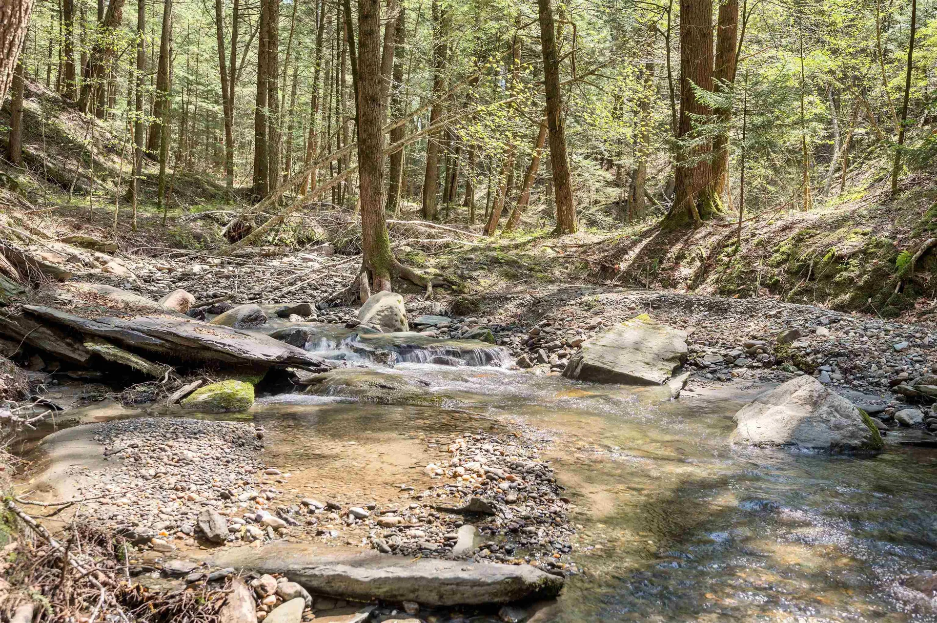 581 Perry Lea Road Waterbury VT 05676