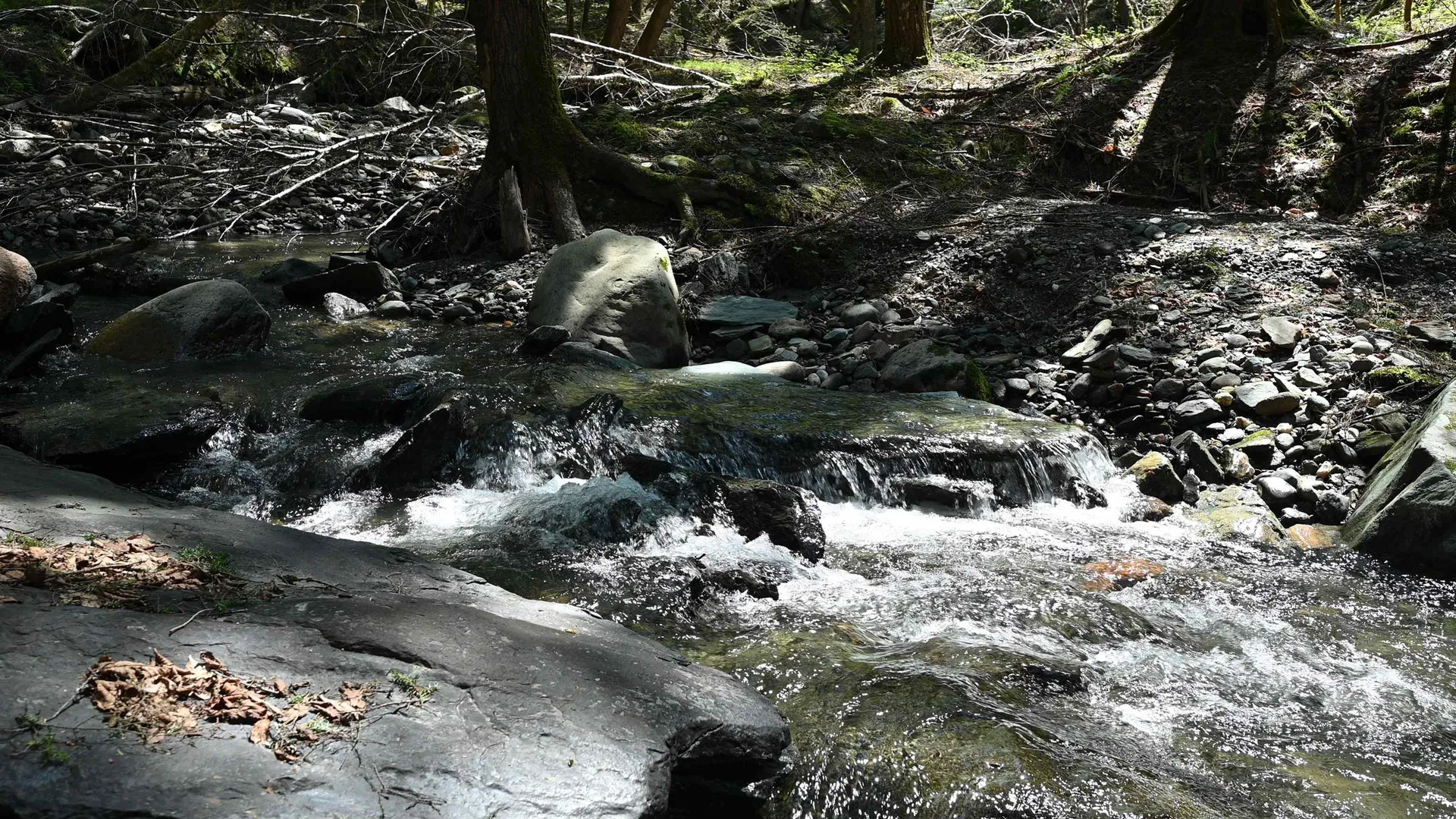 581 Perry Lea Road Waterbury VT 05676