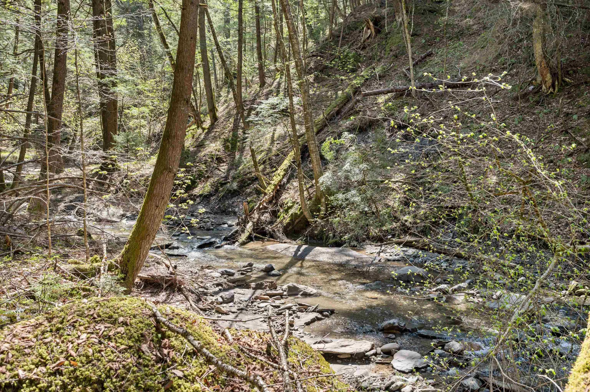 581 Perry Lea Road Waterbury VT 05676