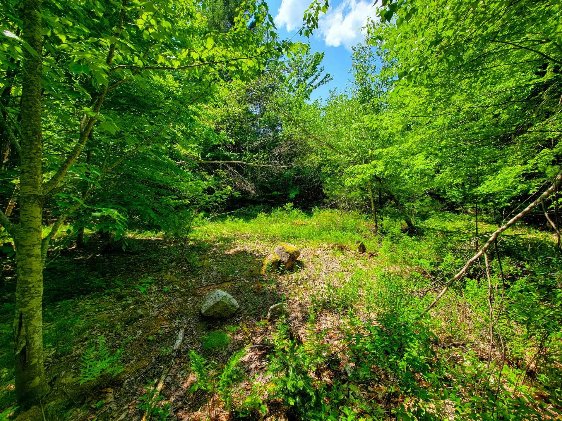 280 Gorham Hill Road Gorham NH 03581