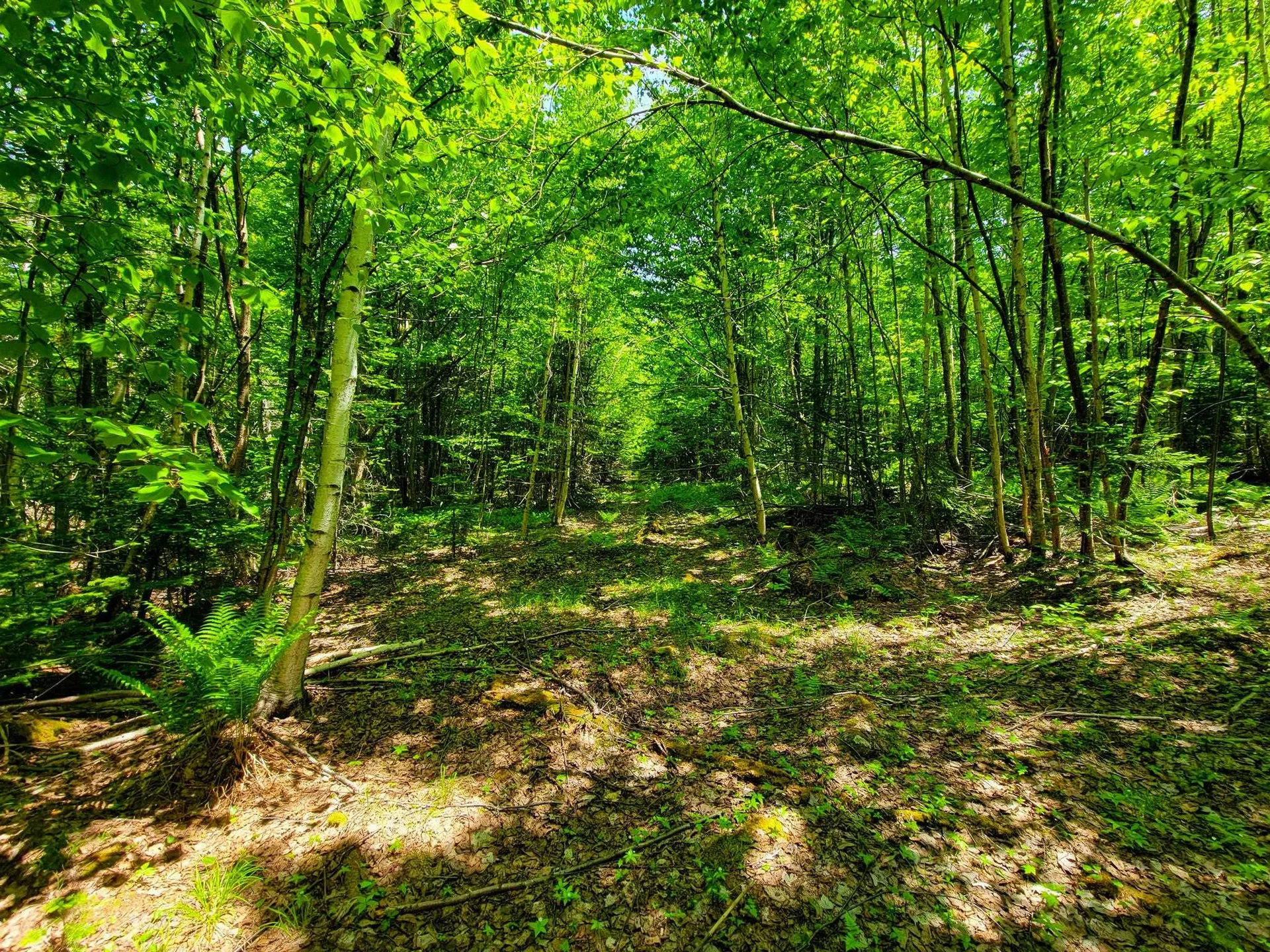 280 Gorham Hill Road Gorham NH 03581