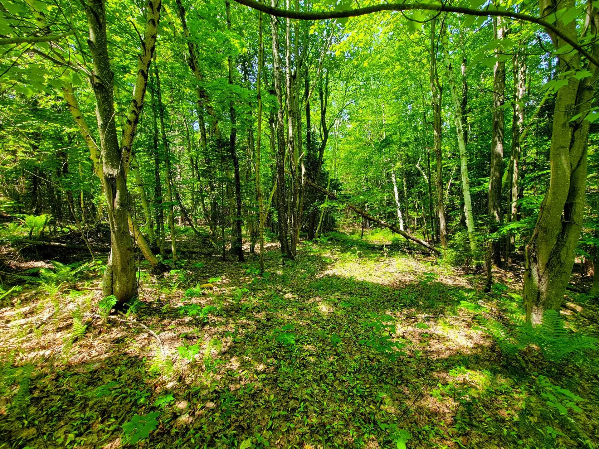 280 Gorham Hill Road Gorham NH 03581