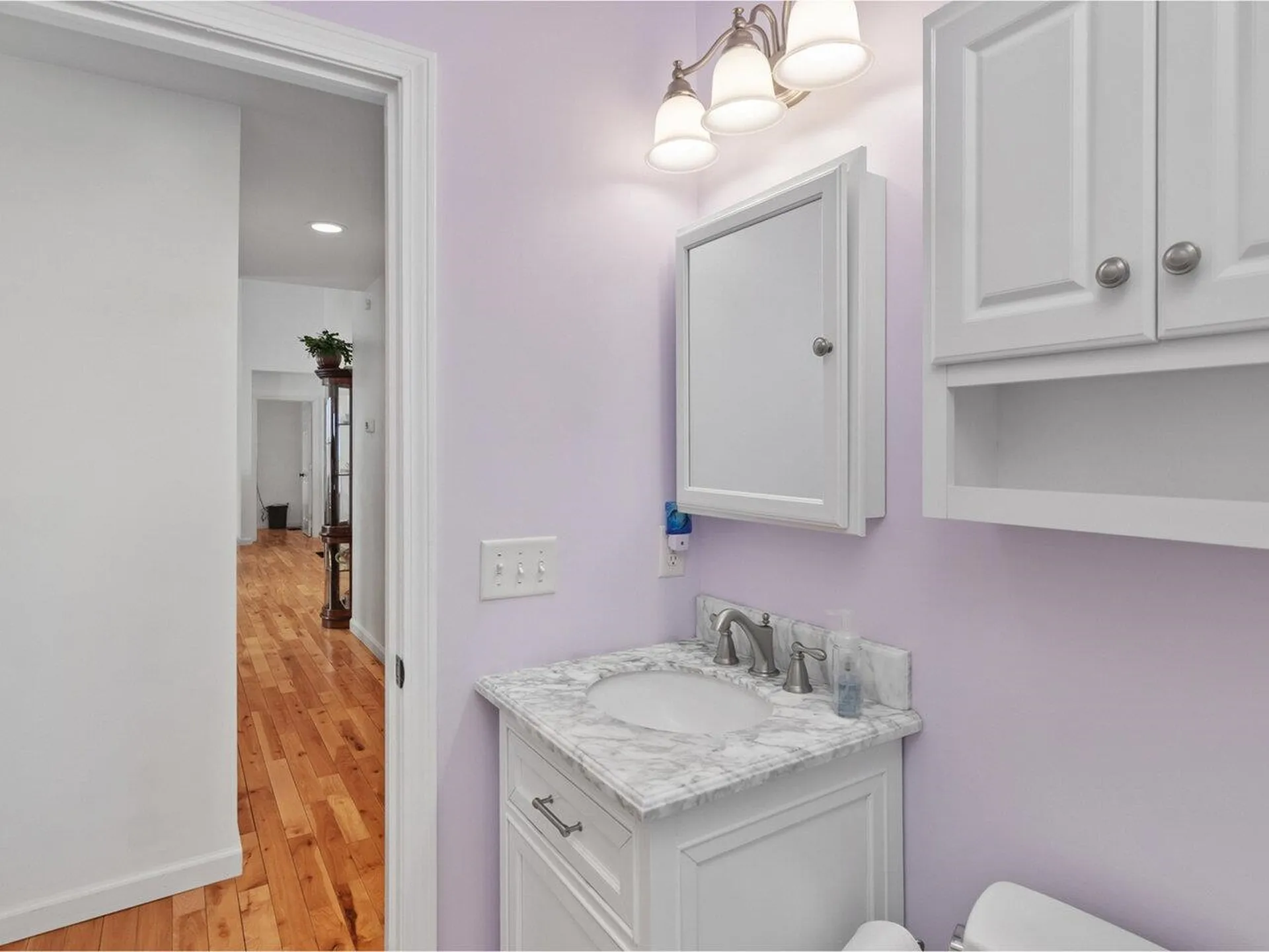 53 O'brien Meadows Hinesburg VT 05461