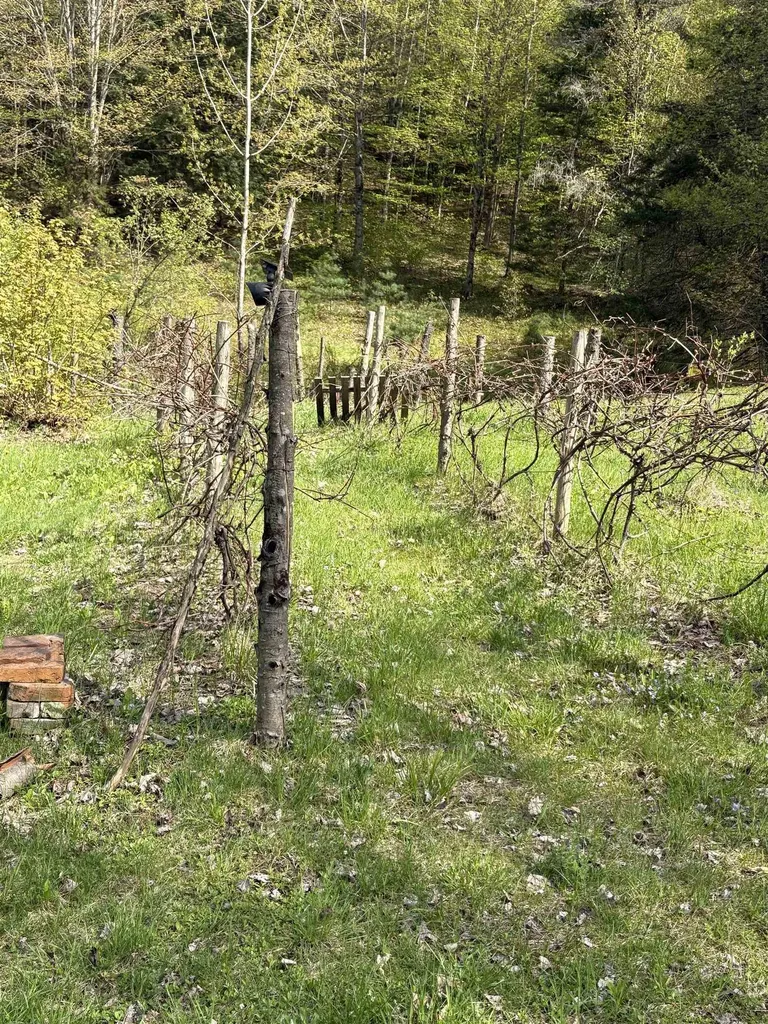 196 Lovers Lane Northfield VT 05663