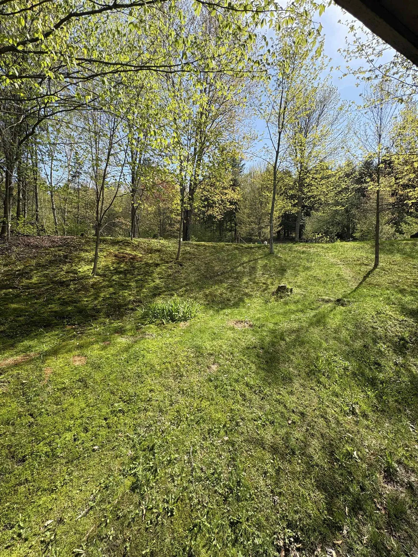 196 Lovers Lane Northfield VT 05663