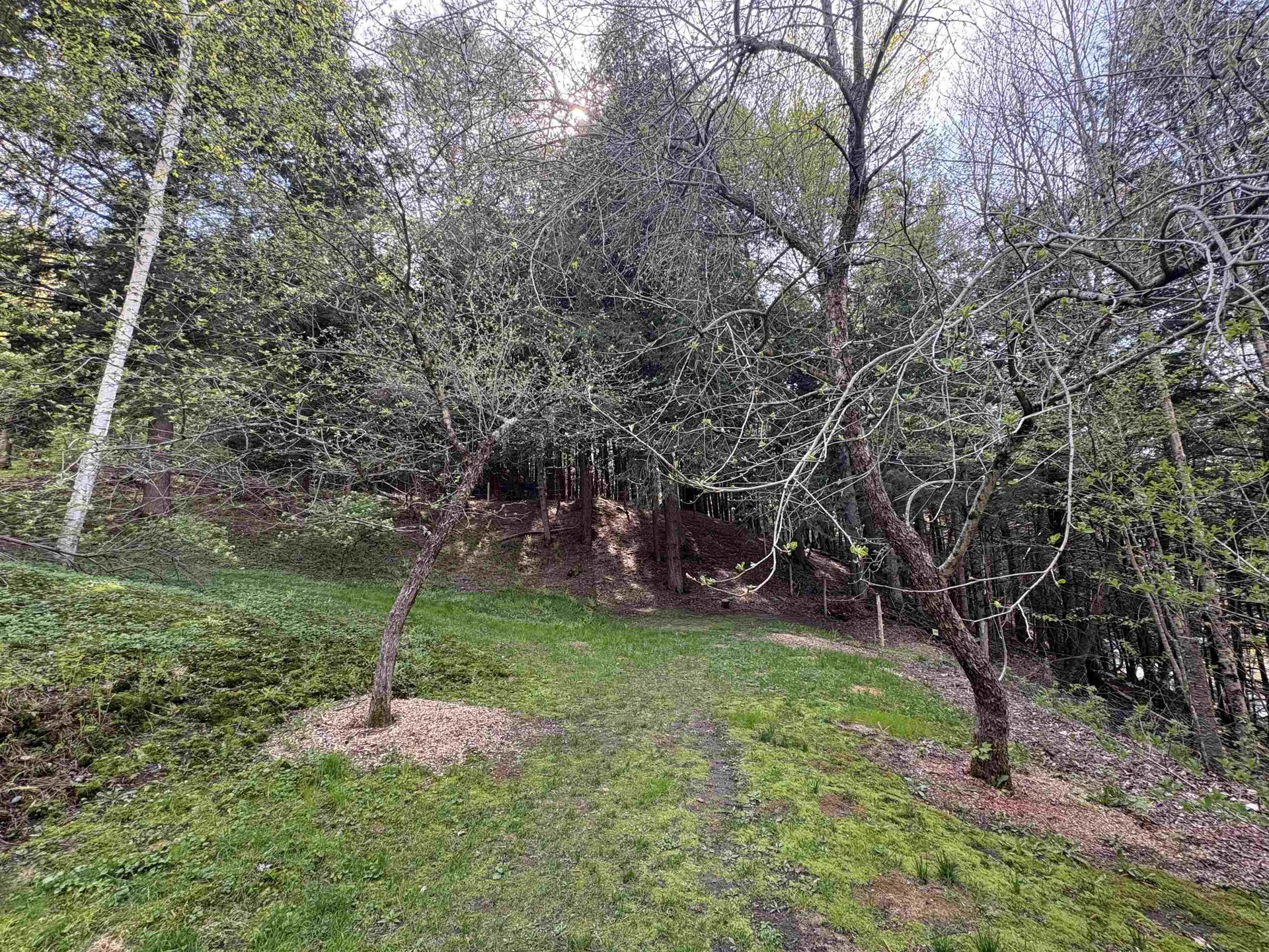 196 Lovers Lane Northfield VT 05663