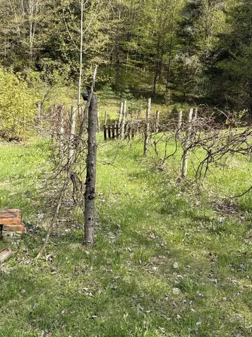 196 Lovers Lane Northfield VT 05663