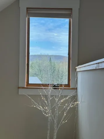 165 Spruce Lane Eden VT 05652