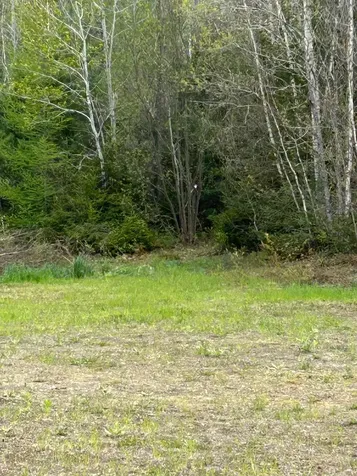 165 Spruce Lane Eden VT 05652