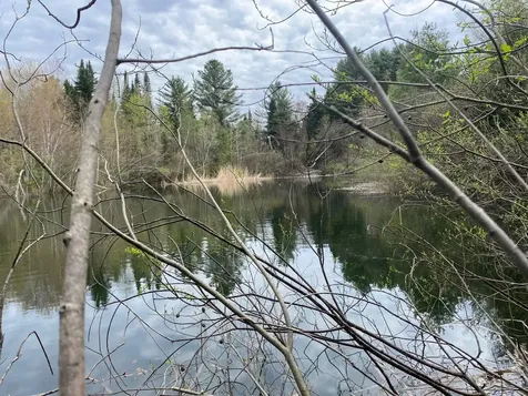 165 Spruce Lane Eden VT 05652