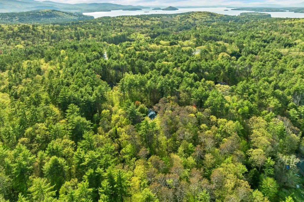 66 Hayes Road Alton NH 03809