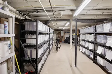 315 Saint Paul Street Burlington VT 05401