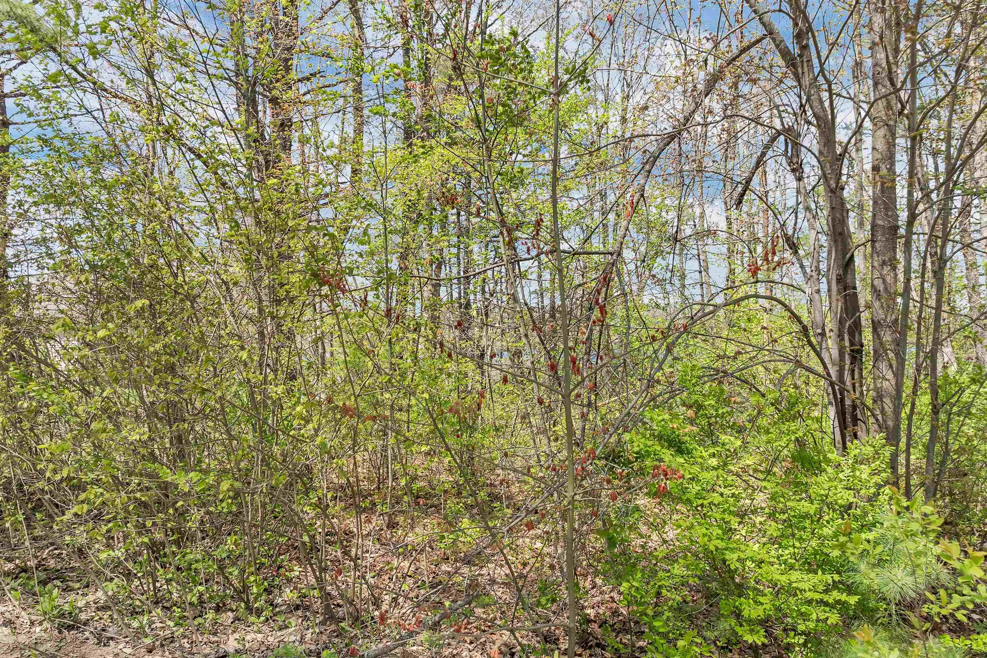 Lot 17 Baxter Place Alton NH 03809