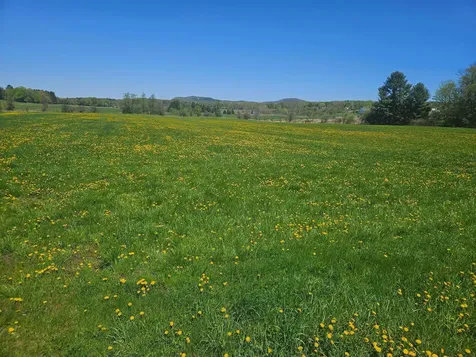 Lot 2 Plains Road Georgia VT 05478