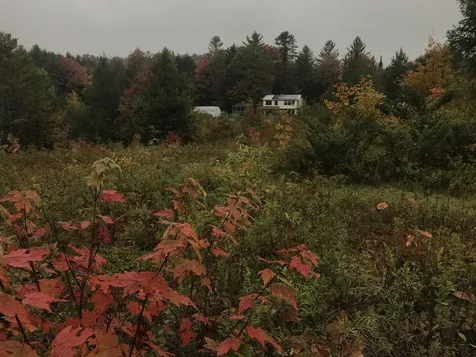 142 King Pond Road Woodbury VT 05681
