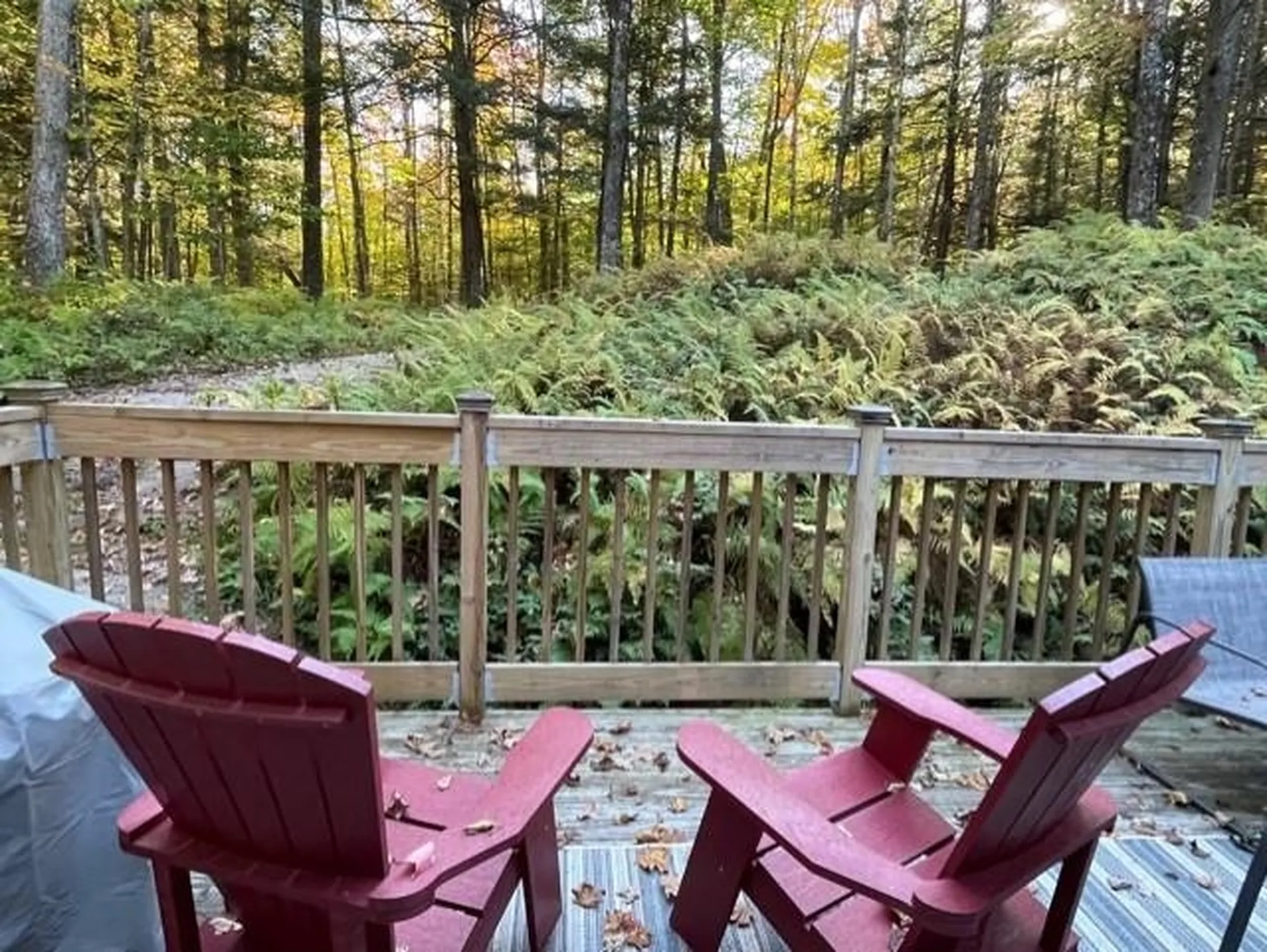 4 Morning Hollow Lane Grantham NH 03753