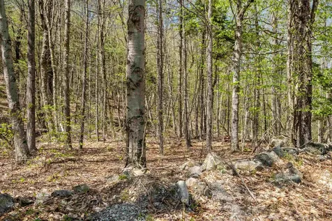 Kinsman Road Grafton NH 03240