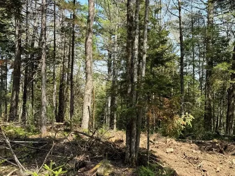 Lot 3 Nh Route 4a Grafton NH 03240