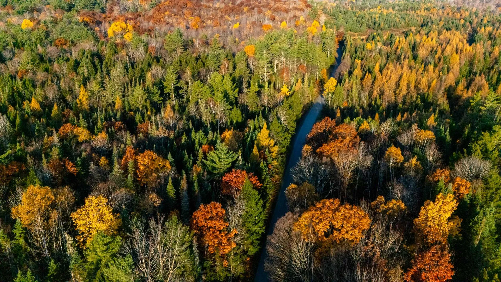 38 Cross Road Bath NH 03740