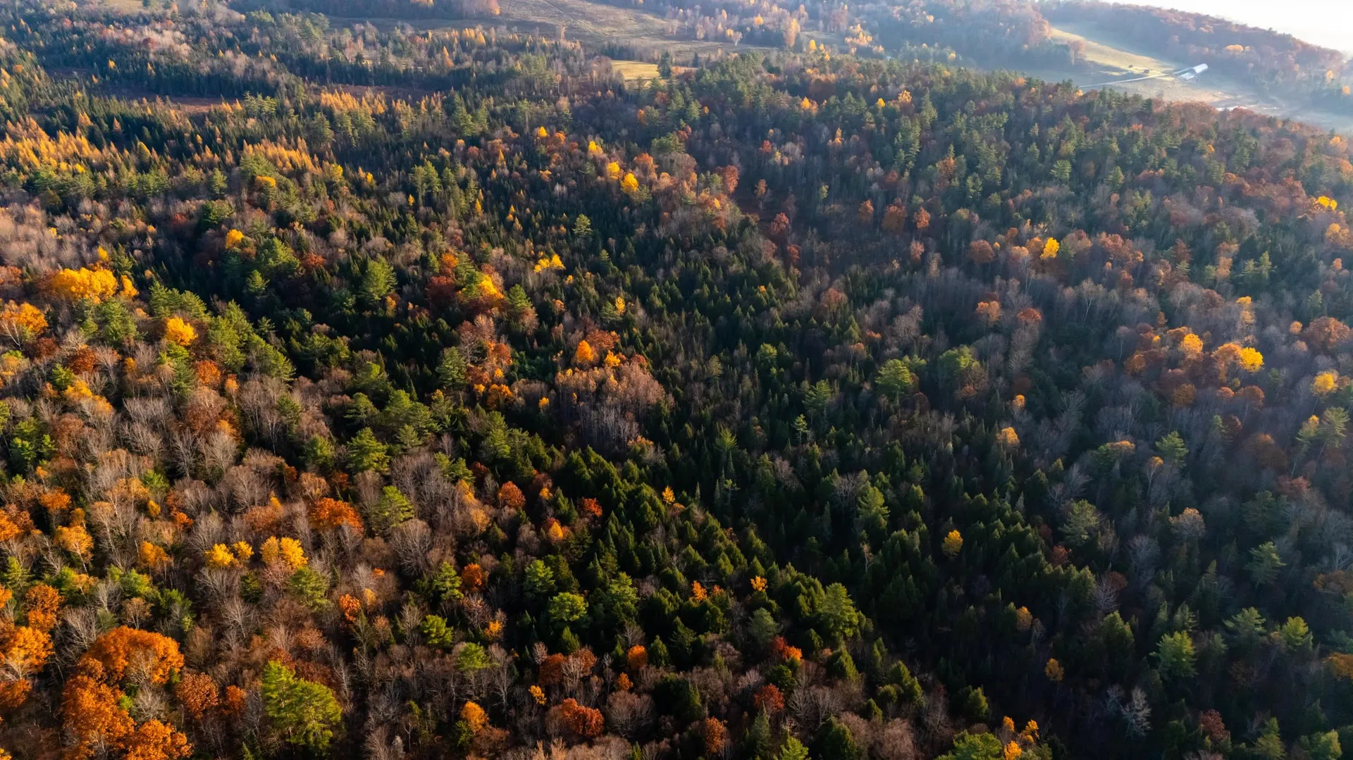 38 Cross Road Bath NH 03740