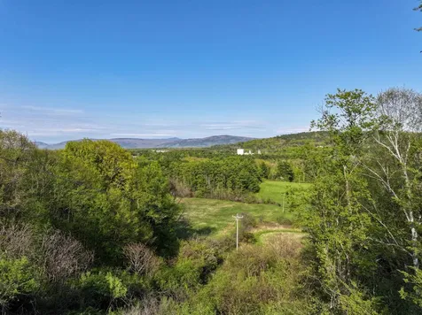 166 Terrace Heights Weybridge VT 05753