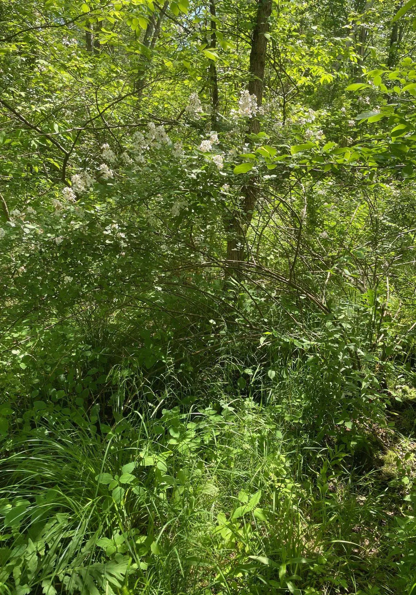 00 Lovell Road Stratham NH 03885