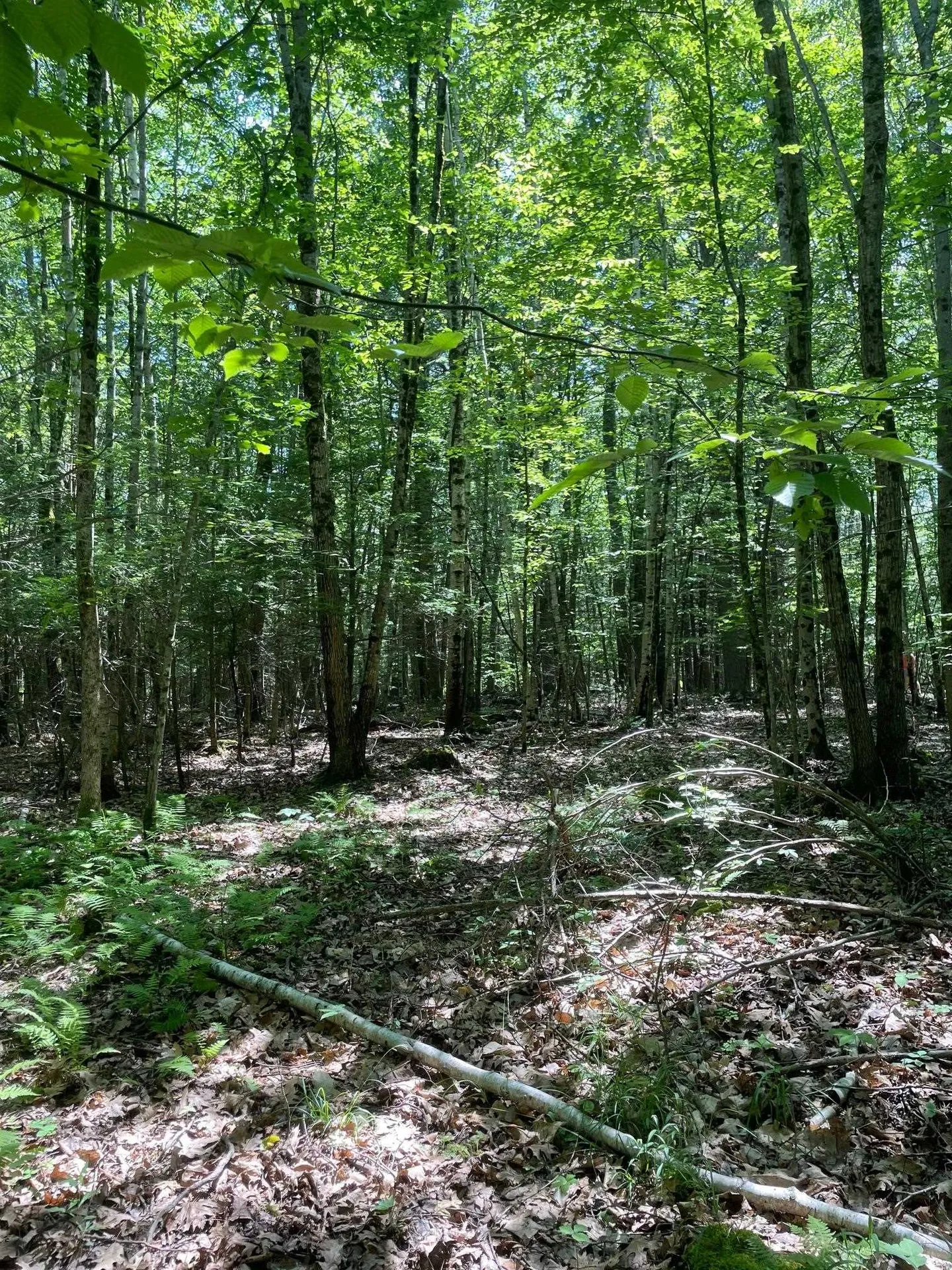 00 Lovell Road Stratham NH 03885