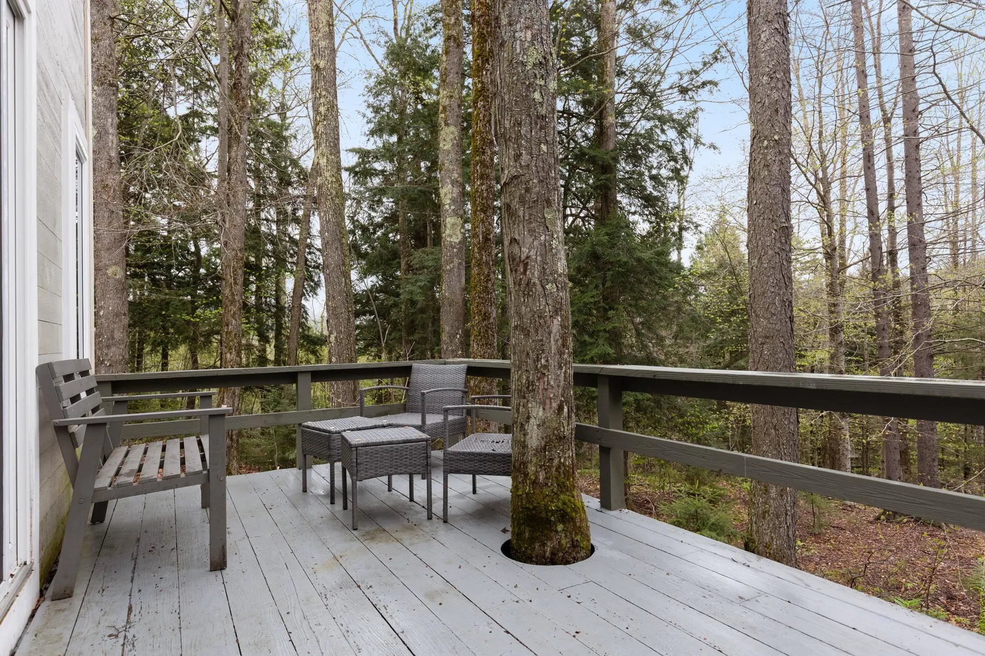 67 Birch Tree Lane Fayston VT 05673