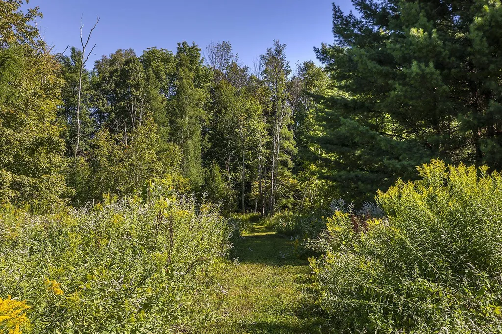 693 Longview Drive Manchester VT 05254