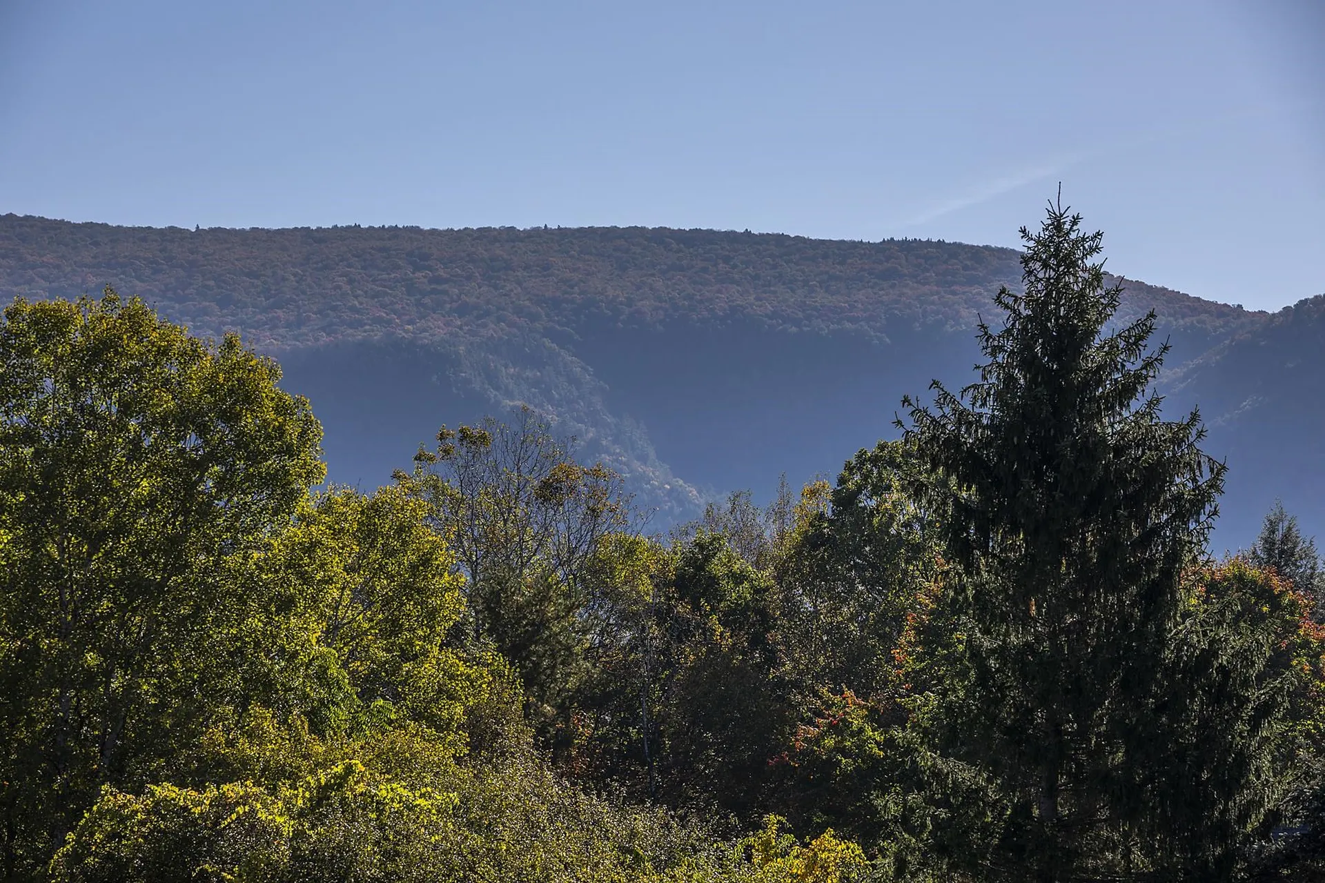 693 Longview Drive Manchester VT 05254