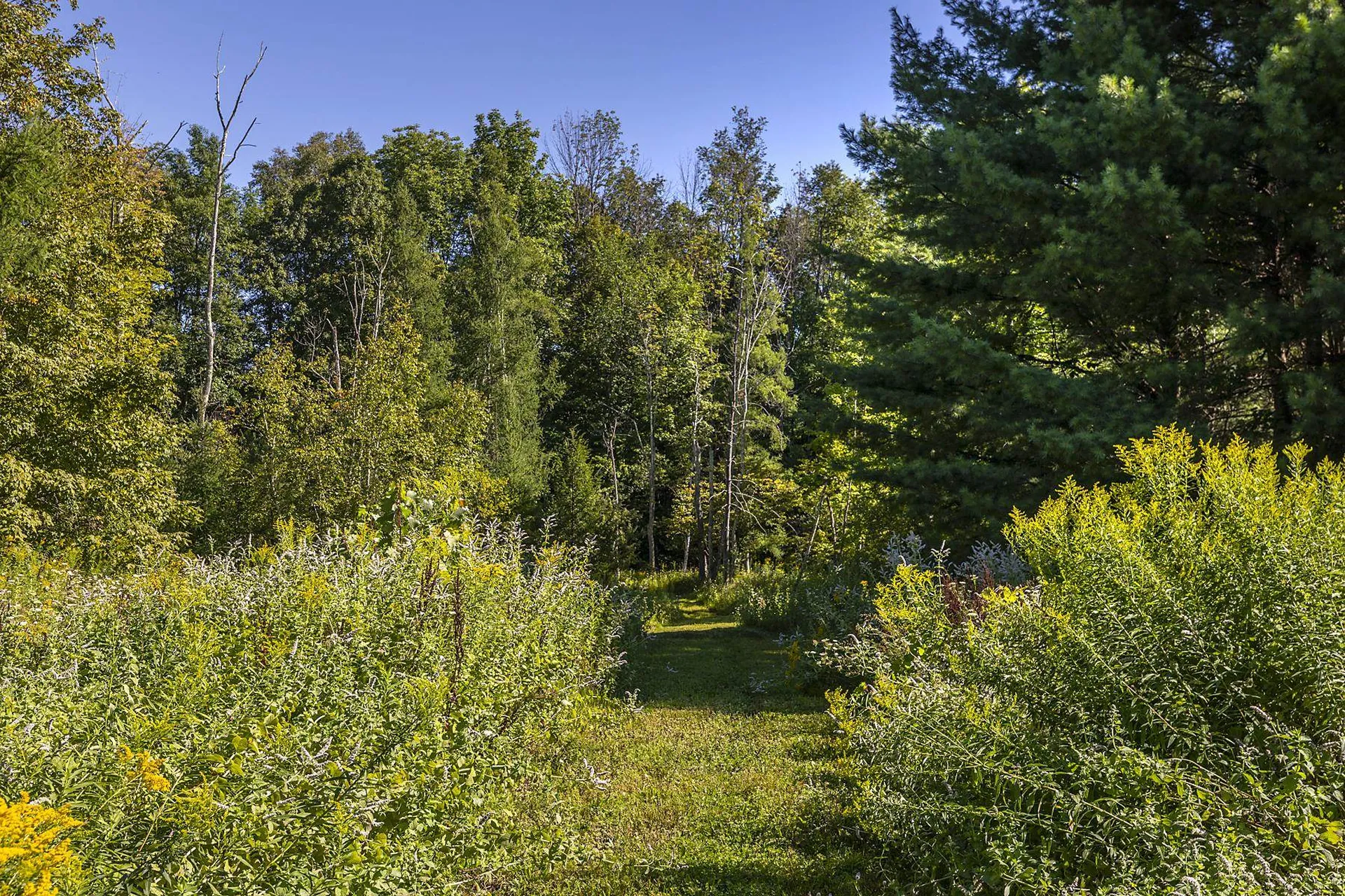 693 Longview Drive Manchester VT 05254