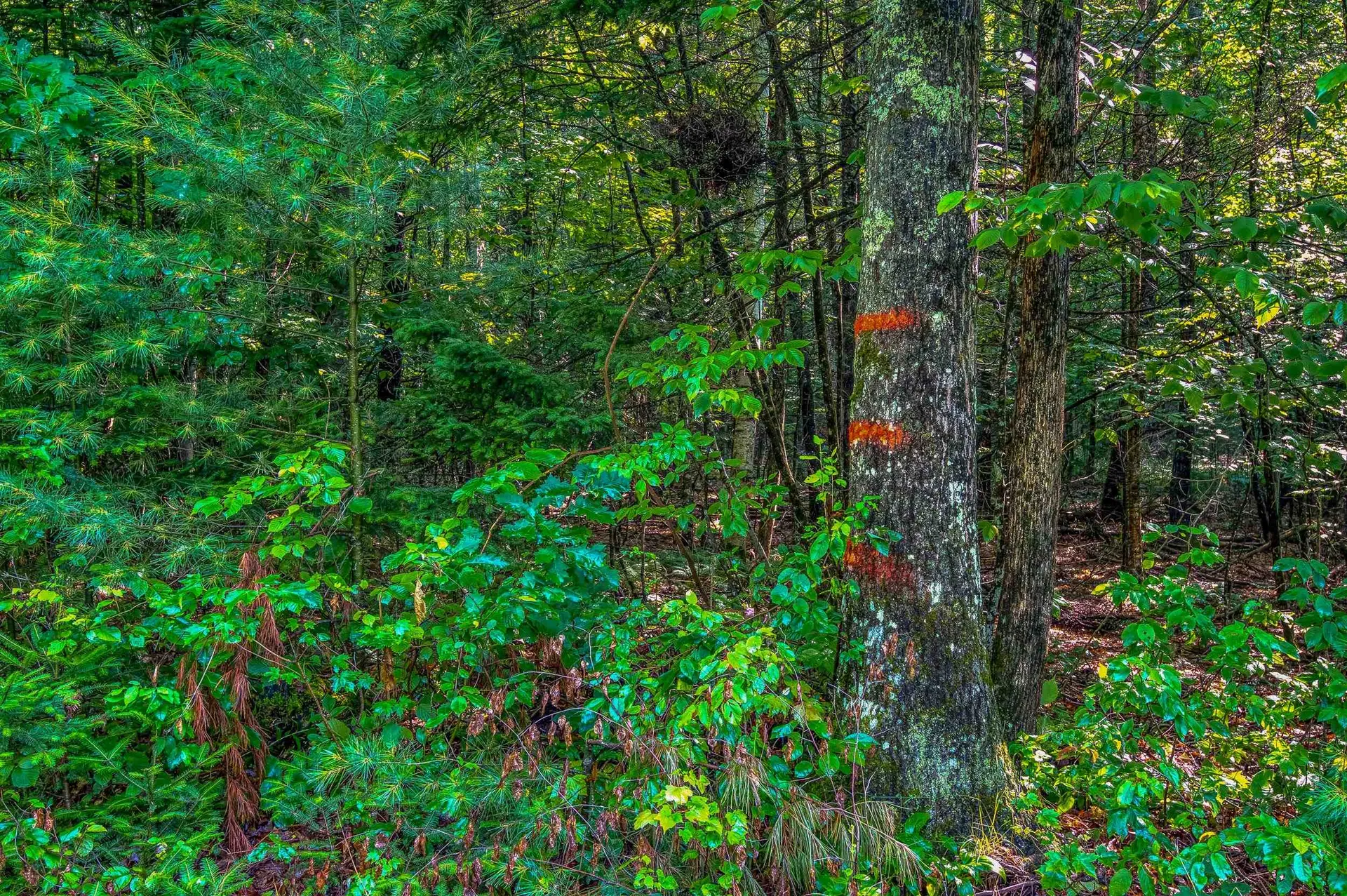 38 F Lang Road Bath NH 03740