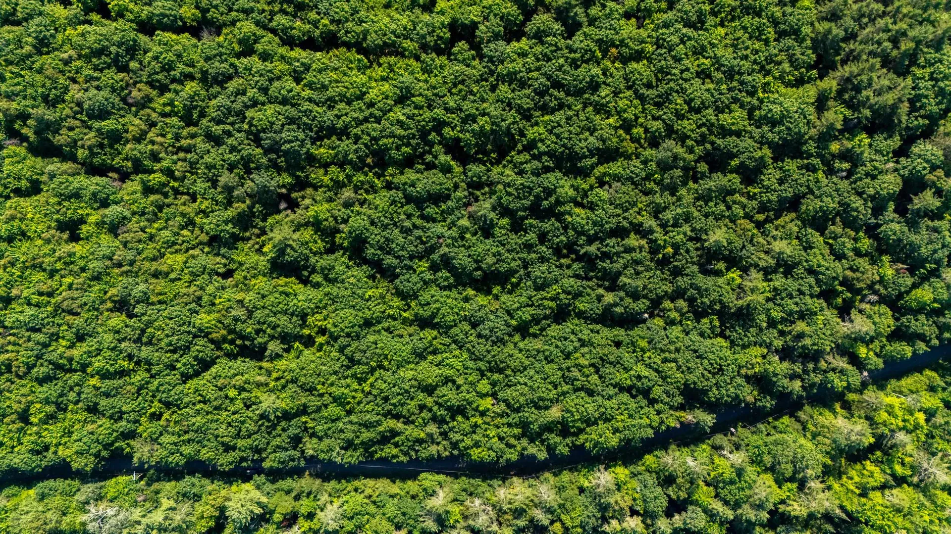 38 F Lang Road Bath NH 03740