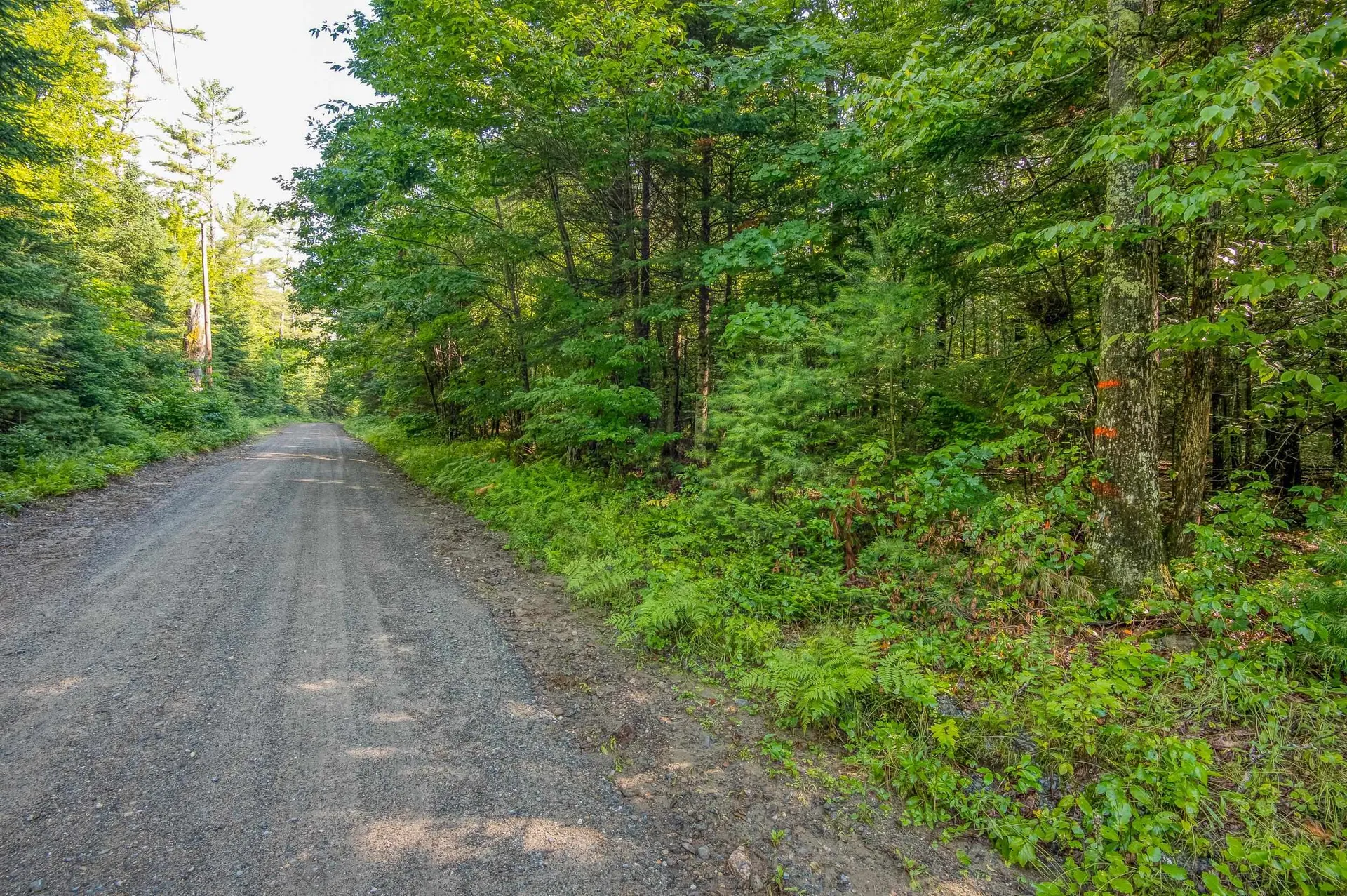 38 F Lang Road Bath NH 03740