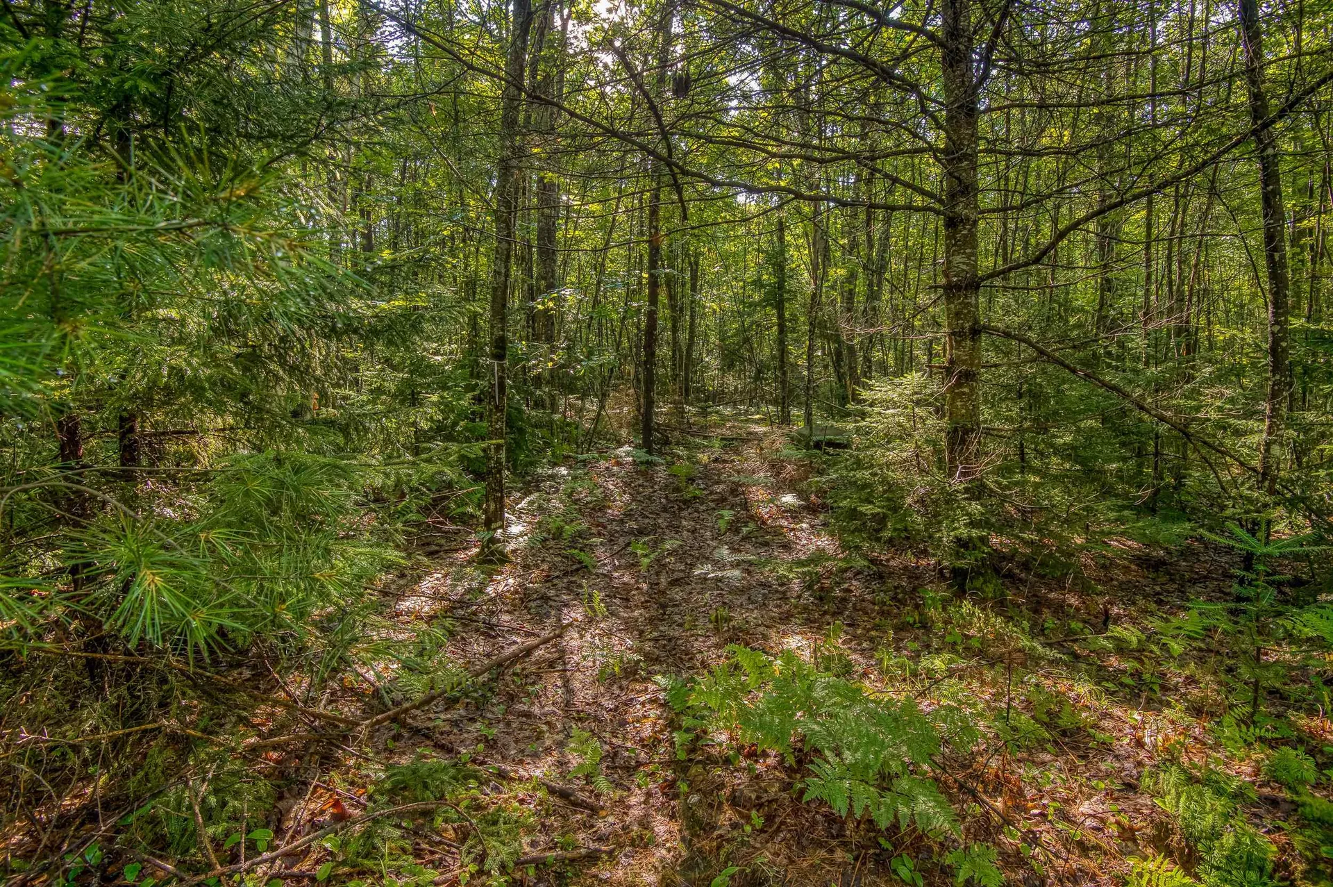 38 F Lang Road Bath NH 03740