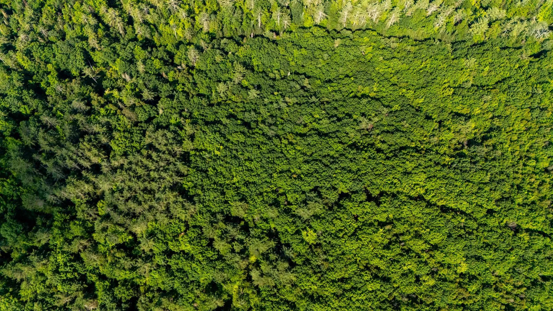 38 F Lang Road Bath NH 03740